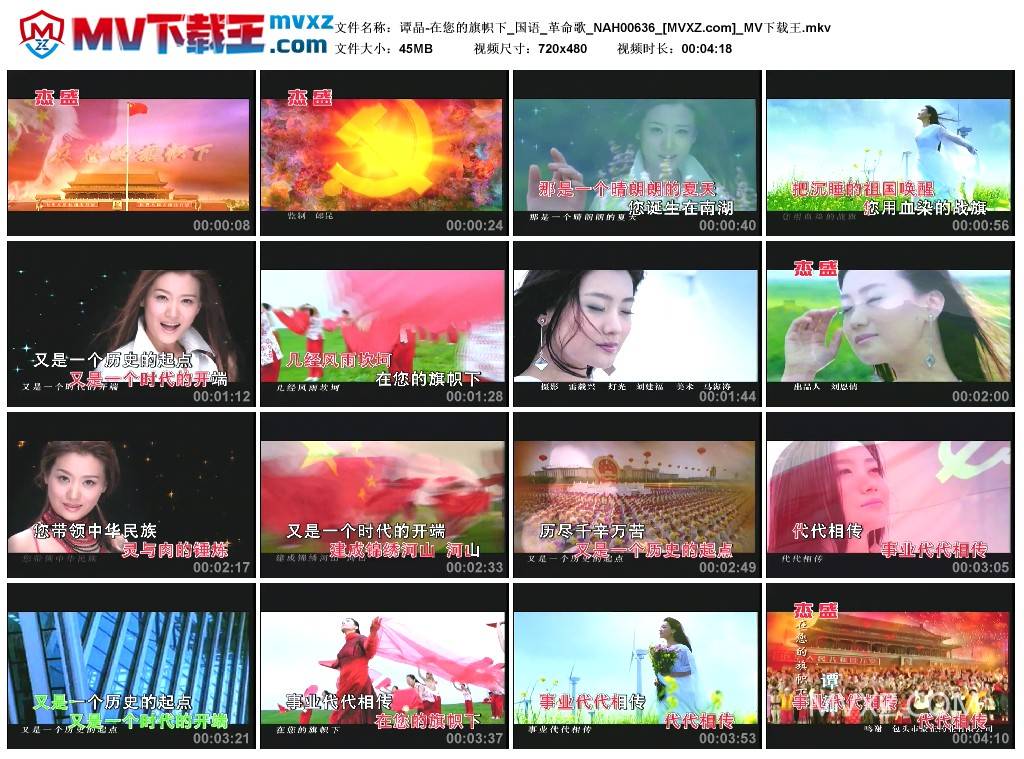 谭晶-在您的旗帜下_国语_革命歌_NAH00636